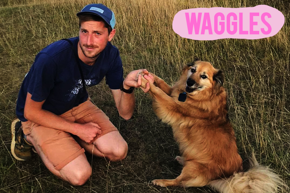 Waggles