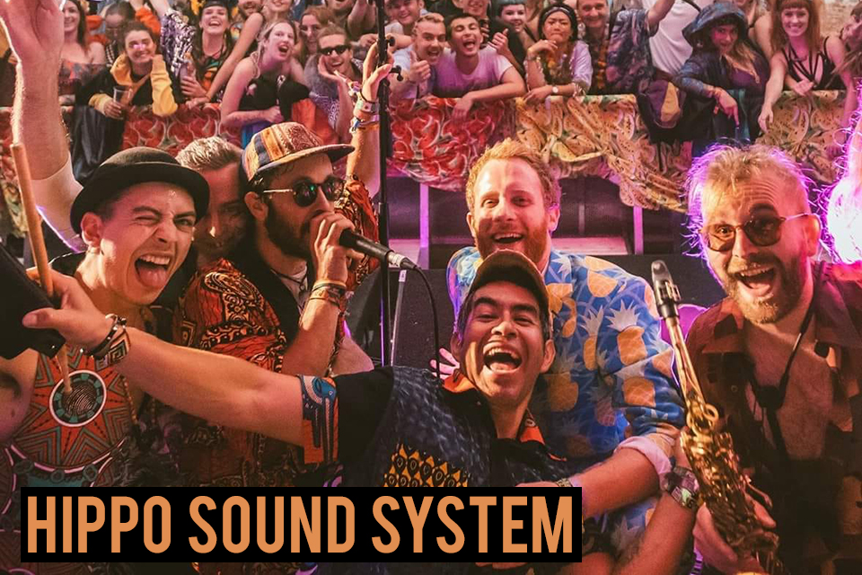 HIPPO SOUND SYSTEM 