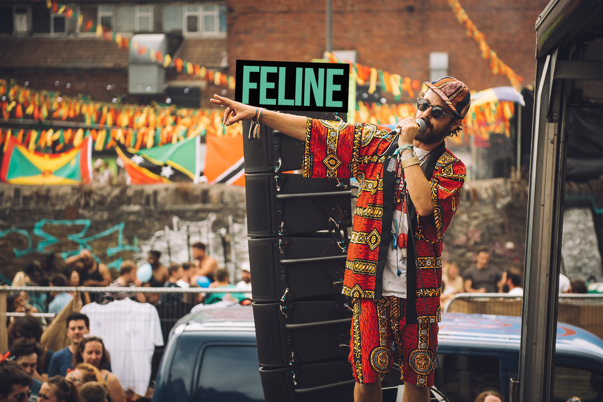 FELINE